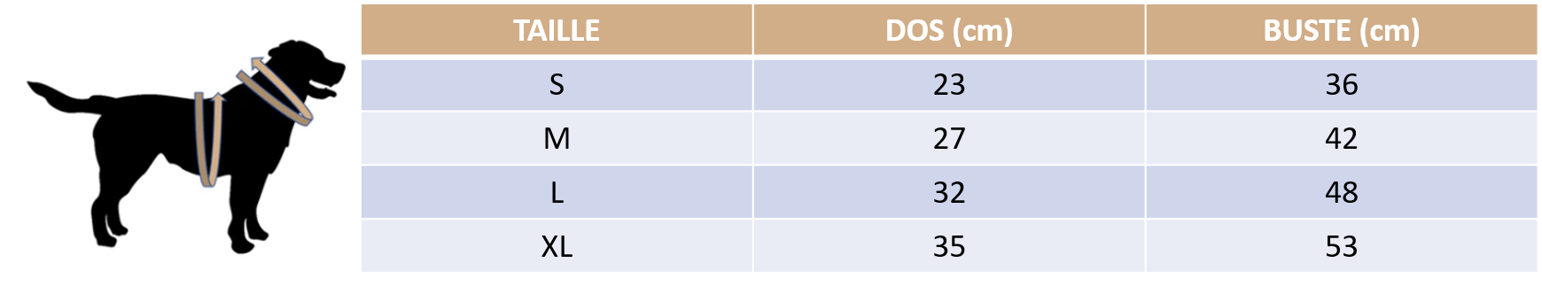 Guide des tailles de notre déguisement de Fou pour chien et chat
