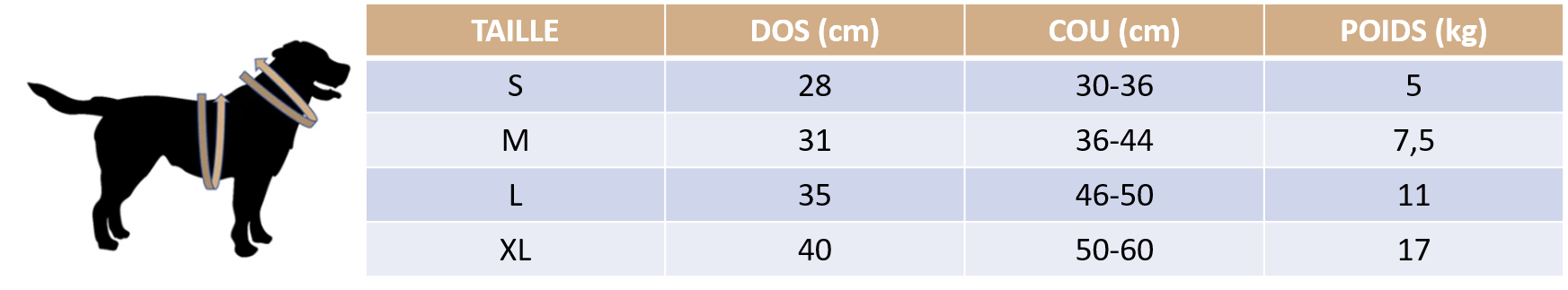 Guide des tailles de nos déguisements pour chat et chien