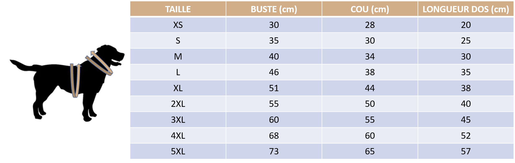 Guide des tailles de notre pull style Collège pour chien