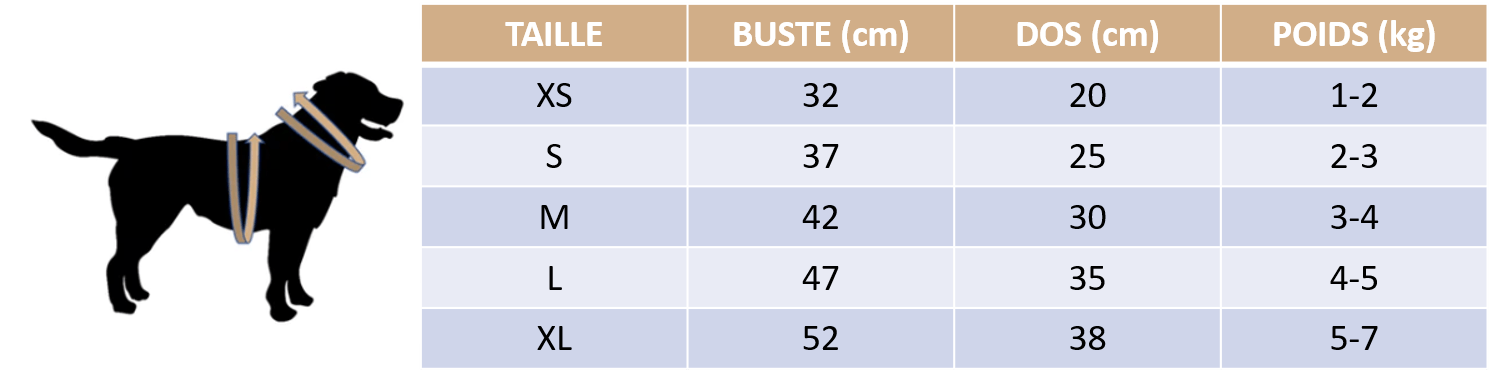 Guide des tailles de notre pull Halloween pour chien