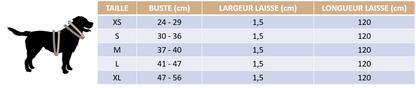Guide des tailles de notre harnais réfléchissant pour chat et petit chien