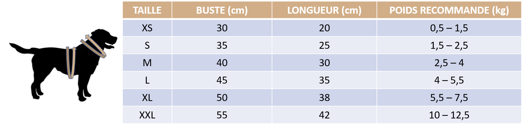 Guide des tailles de notre polo d'été pour petit chien
