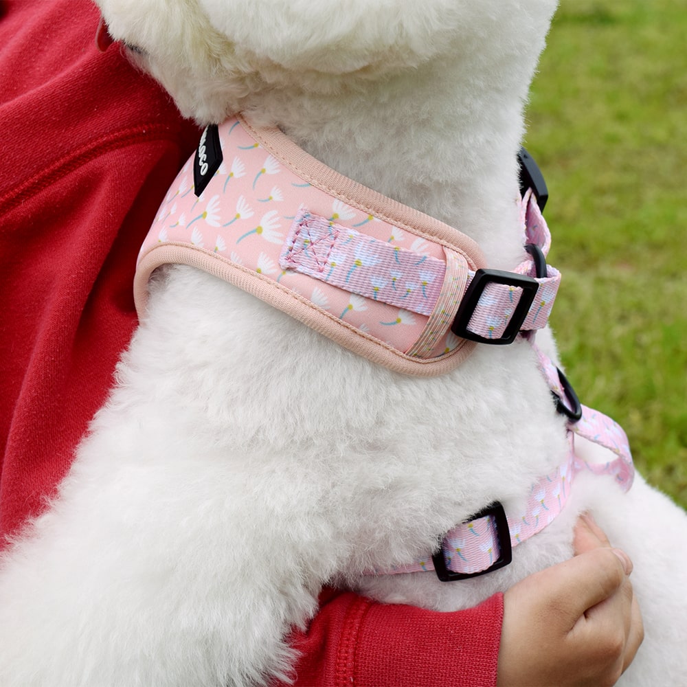 Harnais rose pour petit chien