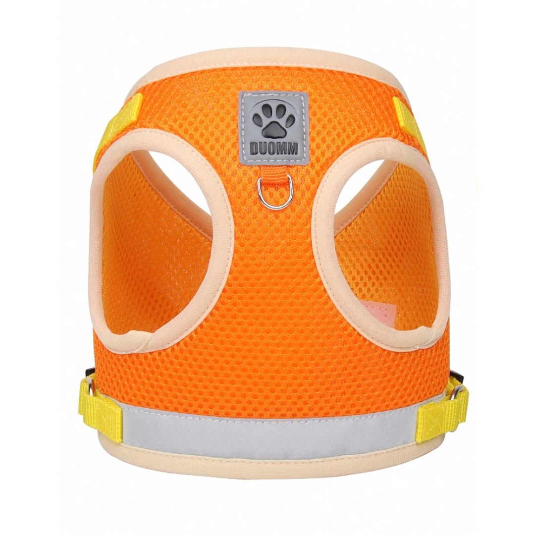 Harnais réfléchissant orange pour chat et petit chien