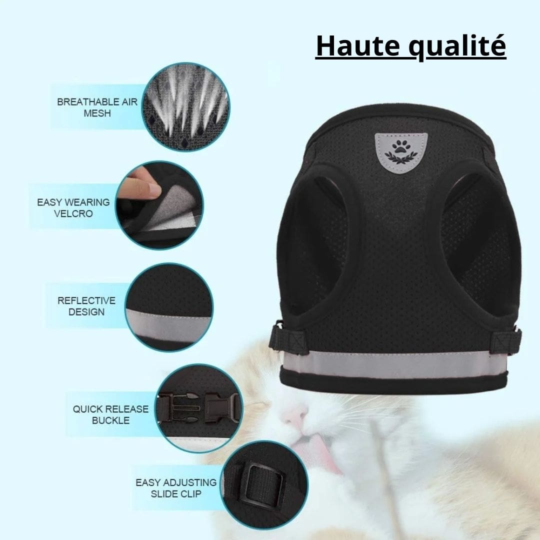 Harnais réfléchissant de haute qualité pour chat et petit chien