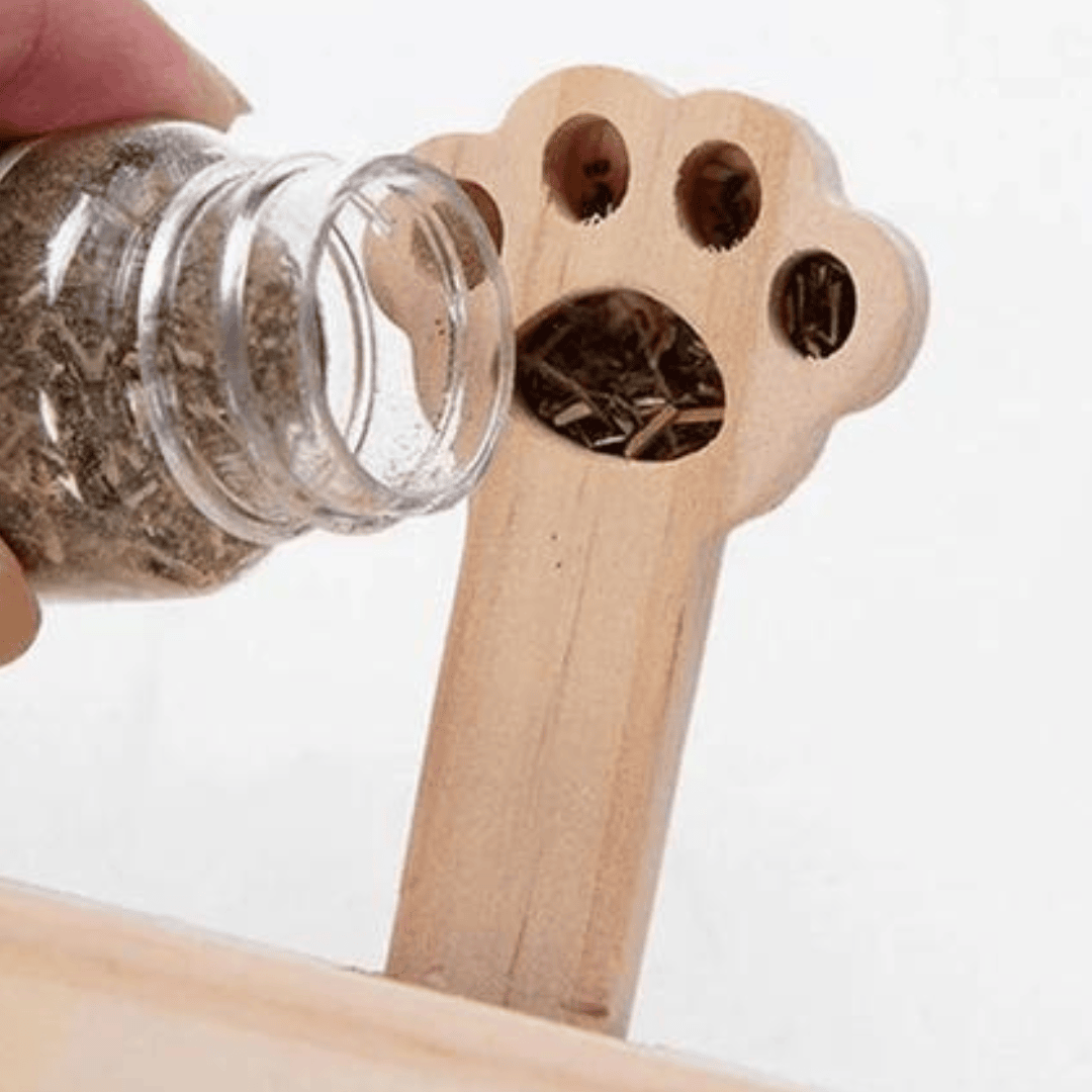 Intégration d'herbe à chat dans le puzzle de chasse pour chat