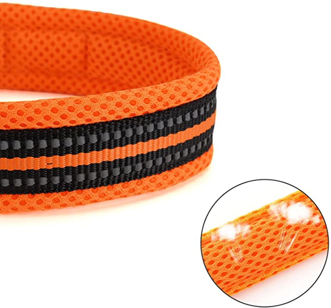 Laisse confortable et solide en nylon pour chien