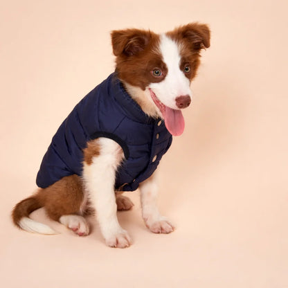 Veste doublée bleu pour chien