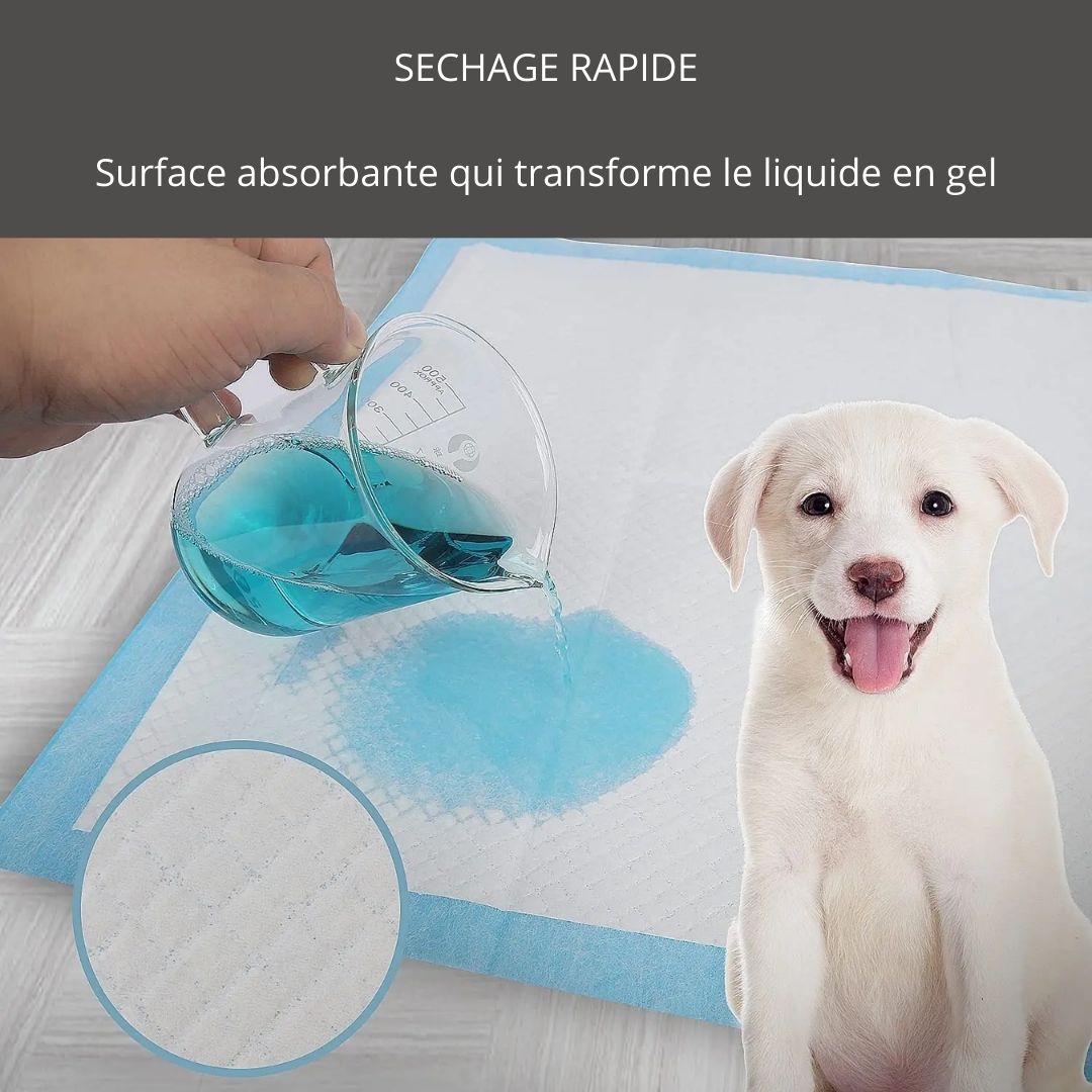 Séchage rapide de notre tapis de dressage pour chien