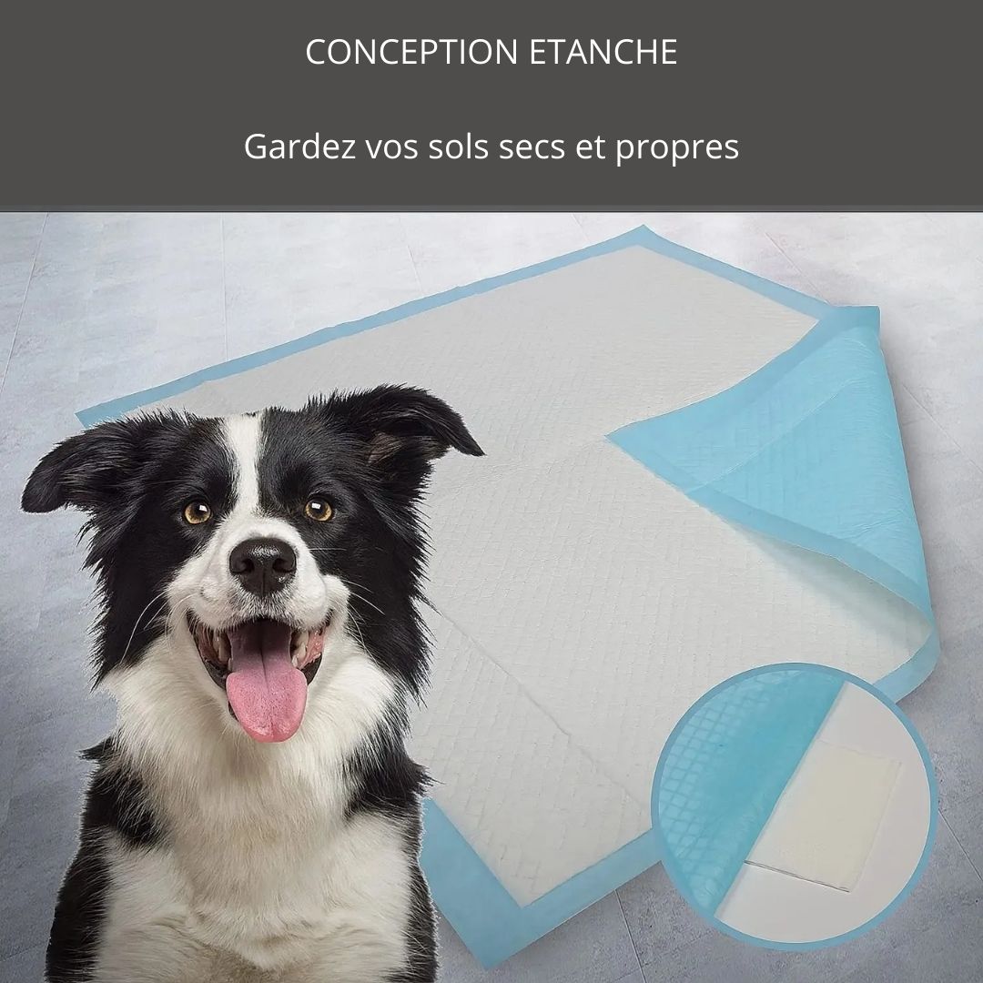 Absorption supérieure à l'aide de l'alèse présente sur nos tapis de dressage pour chien