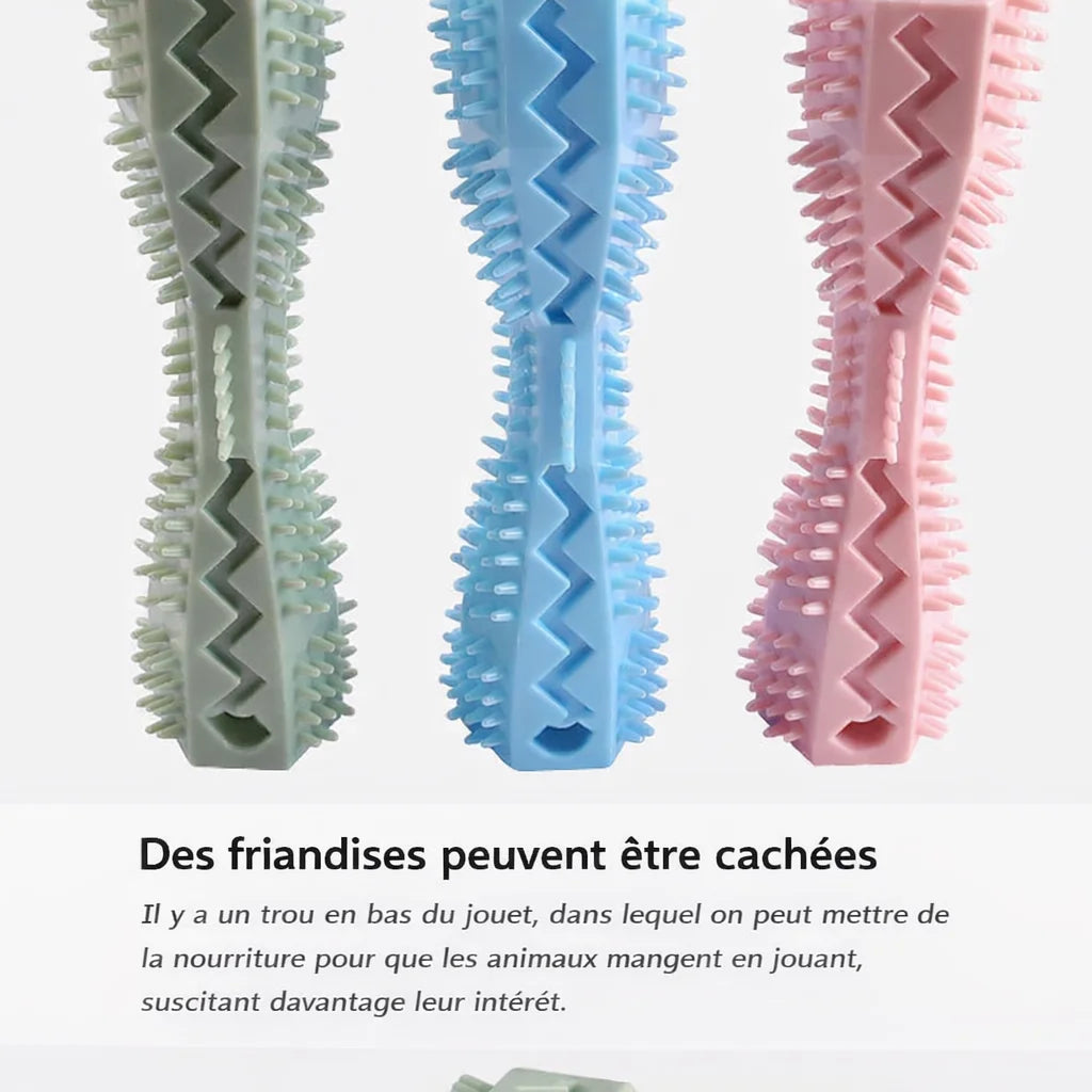 avantages de notre bâton à mâcher pour chien