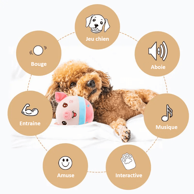 AniBall™ : Balle électronique pour chien