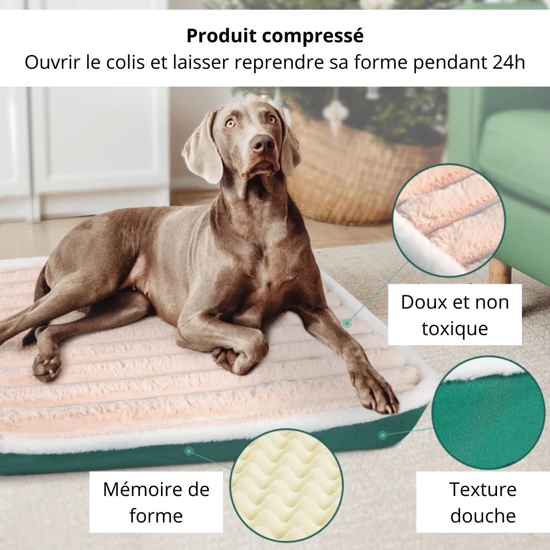 Informations concernant notre lit rembourré pour chien
