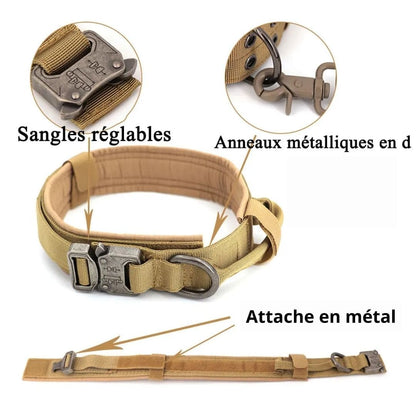 informations sur notre collier dans le lot