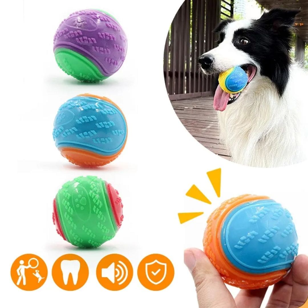 Présentation de notre balle à mâcher interactive pour chien