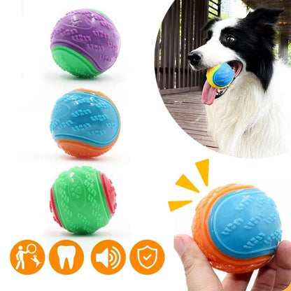 Présentation de notre balle à mâcher interactive pour chien