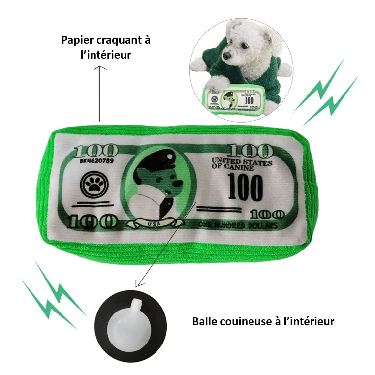 Composition de notre peluche pour chien en forme de liasse de billet