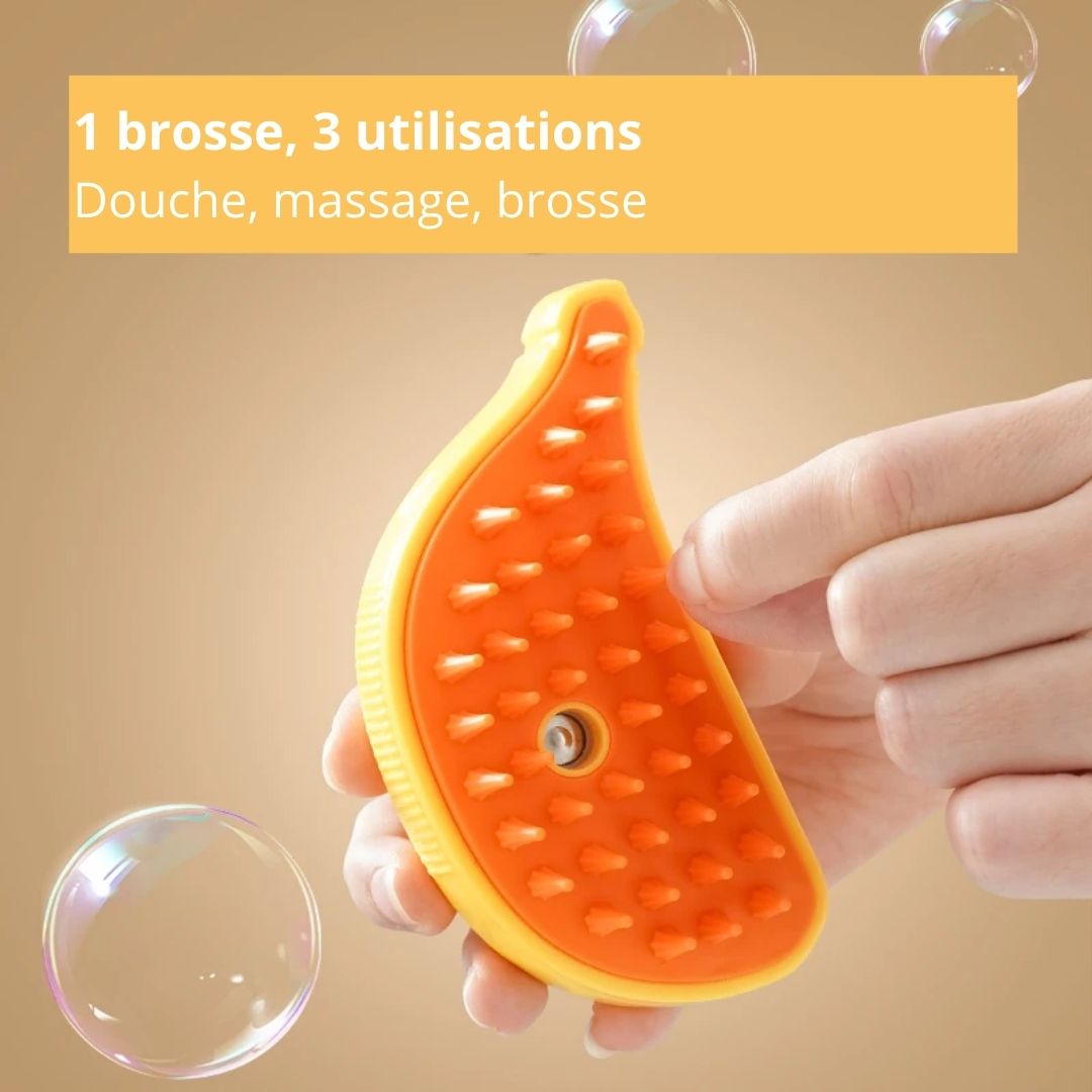 Informations sur notre brosse vapeur pour chat et chien