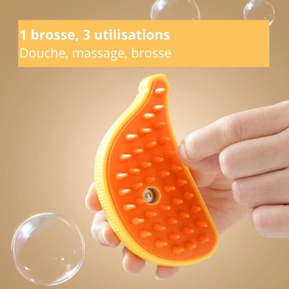 Informations sur notre brosse vapeur pour chat et chien