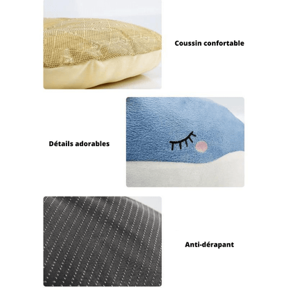 Informations sur le grand lit pour chat