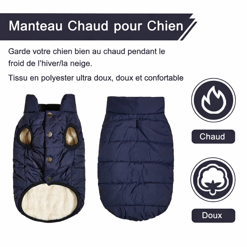 informations sur notre veste doublée pour chien