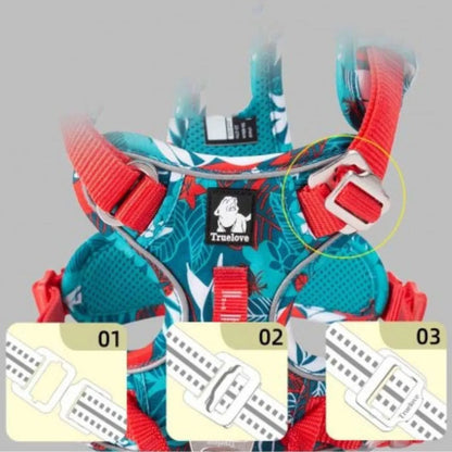 Ajustement des sangles de notre harnais anti traction pour chien