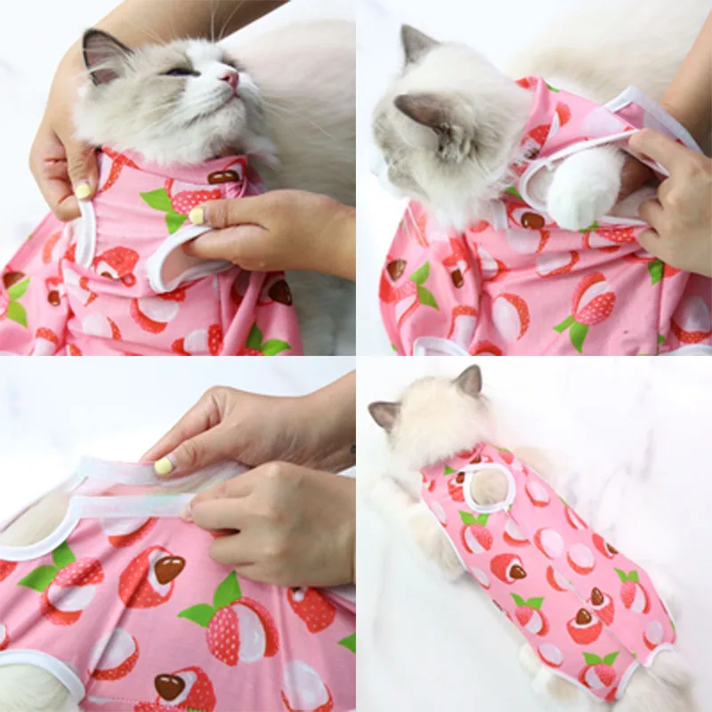 Installation de notre vêtement de stérilisation anti-léchage pour chat