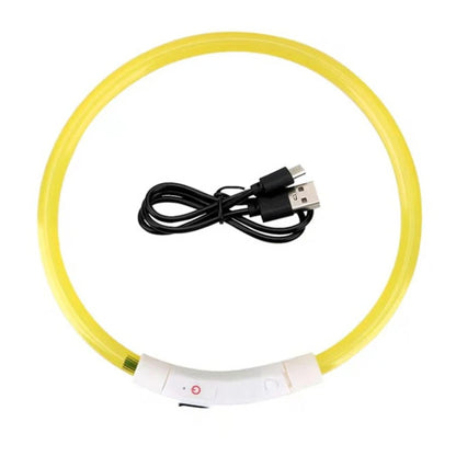 Collier à LED jaune pour chien