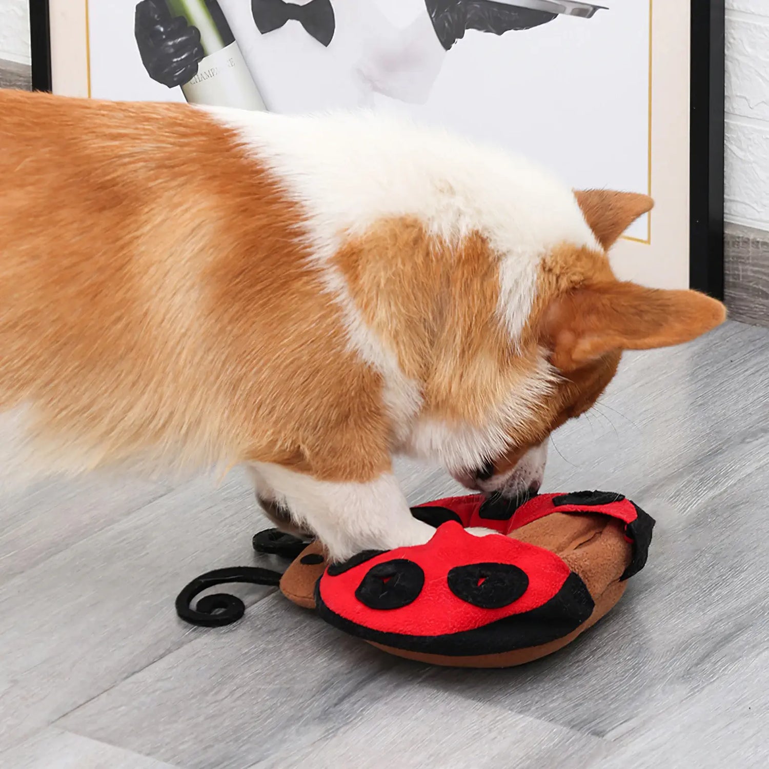Chien qui joue avec notre jouet de fouille en forme de coccinelle