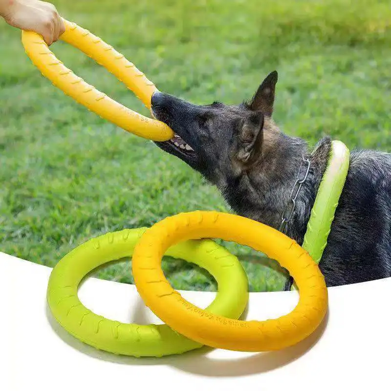chien qui tire avec le grand anneau