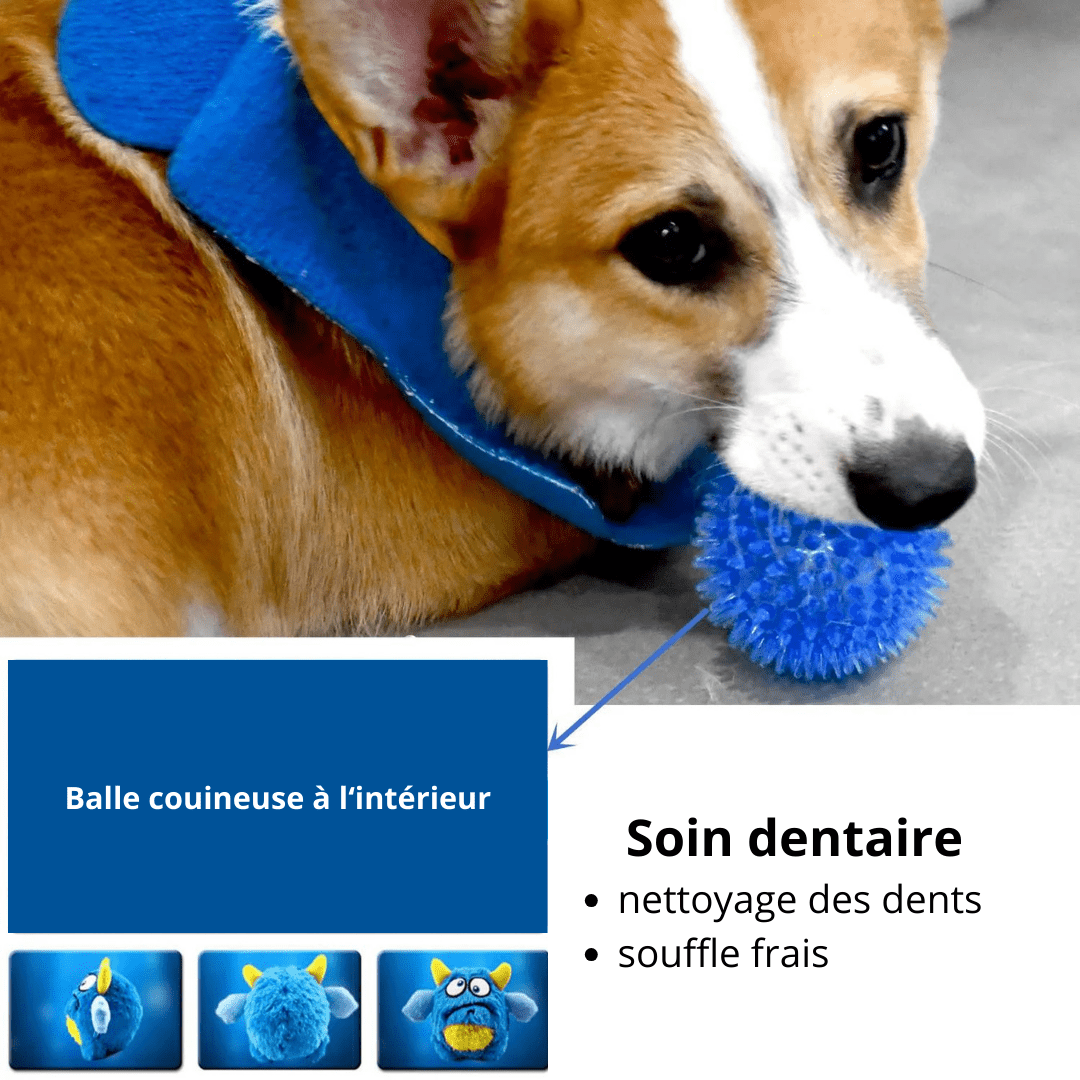 Soin dentaire avec notre peluche pour chien monstre interactif