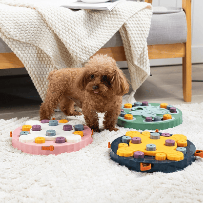 Chien avec notre puzzle anti-glouton
