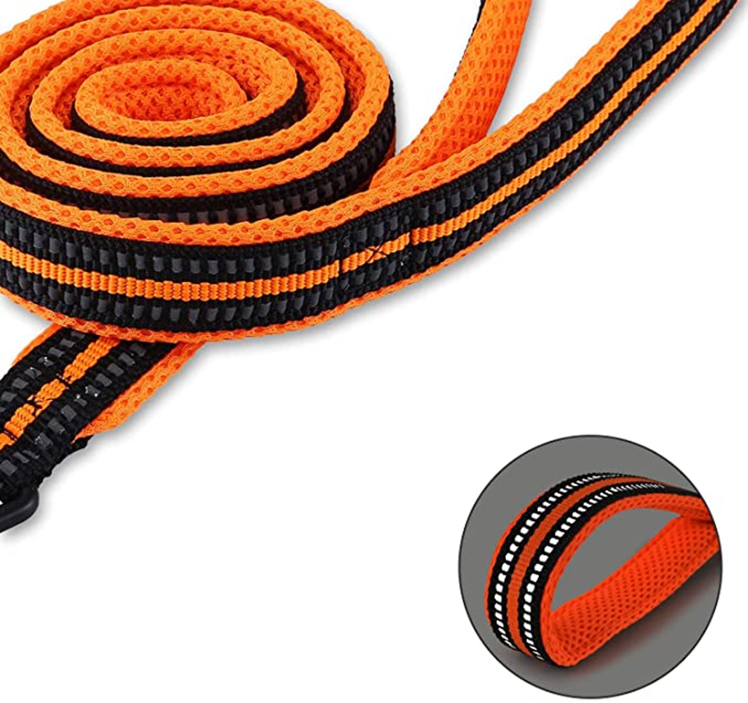 Laisse réfléchissante en nylon pour chien