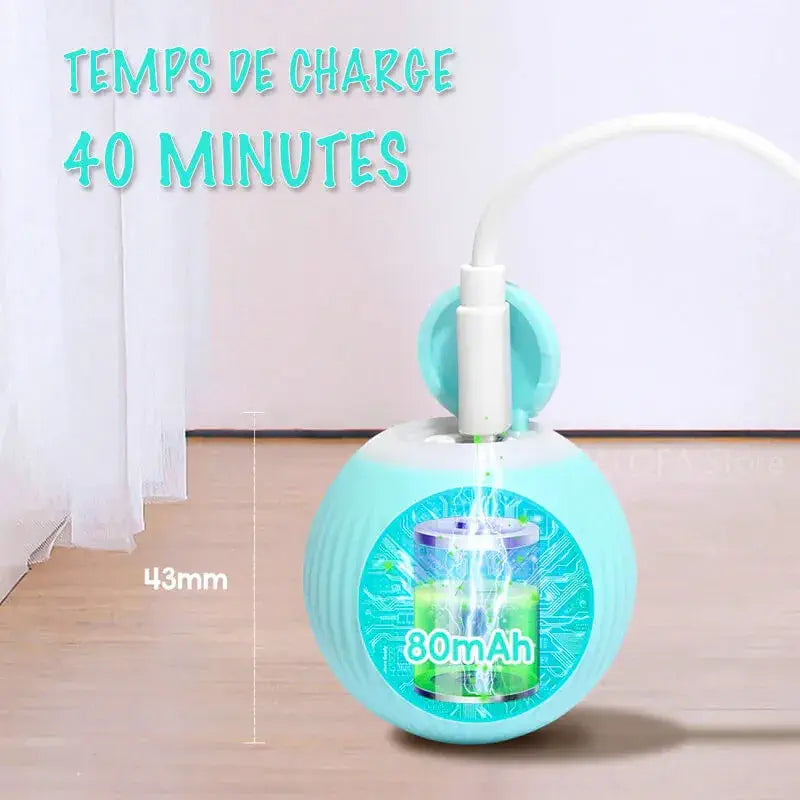 Balle interactive pour chat avec charge rapide