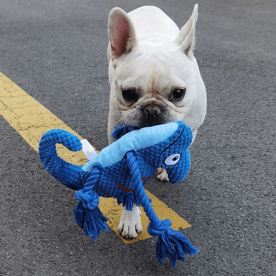 Jouet Caméléon pour chien