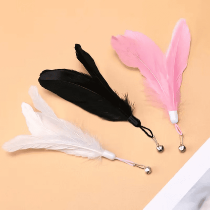 Plumes de notre canne à pêche à ventouse