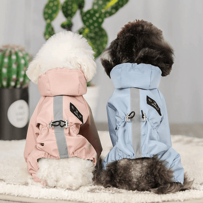 Chiens qui portent une veste imperméable pour chien