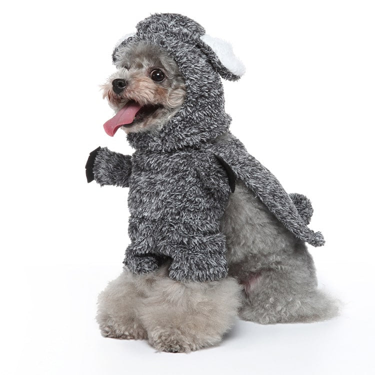 Déguisement koala pour chien et chat