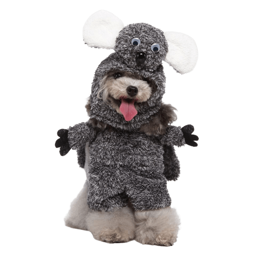 Déguisement pour chat et chien - Koala