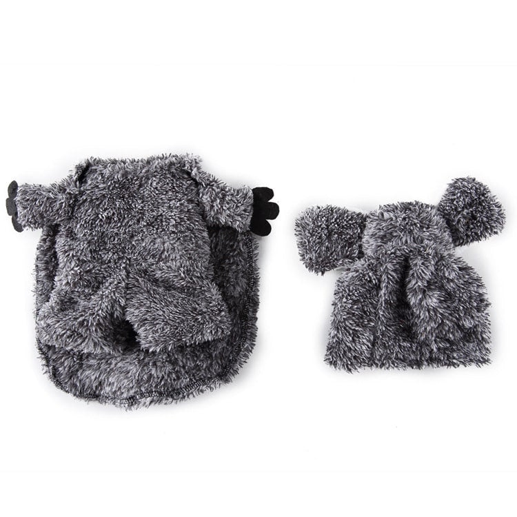 Déguisement pour chat et chien - Koala