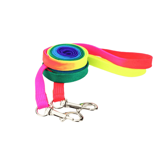 Laisse du harnais multicolore offerte