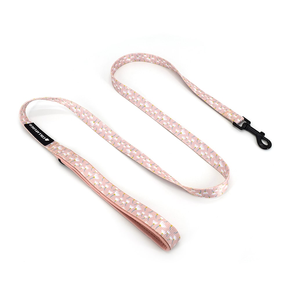 Laisse rose pour petit chien