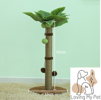 Dimensions griffoir en forme de palmier pour chat