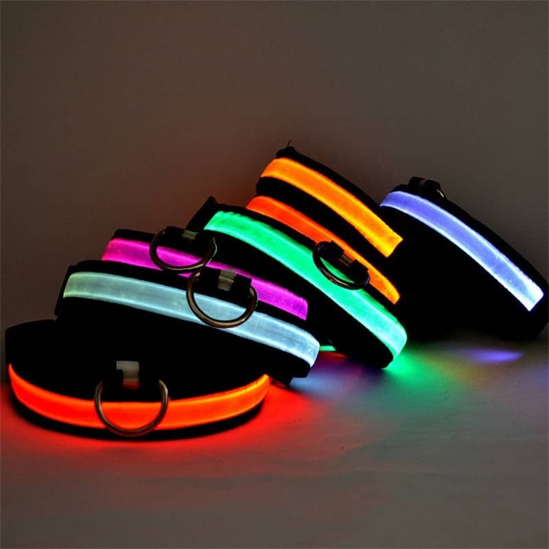 Collection de collier lumineux pour chien et chat