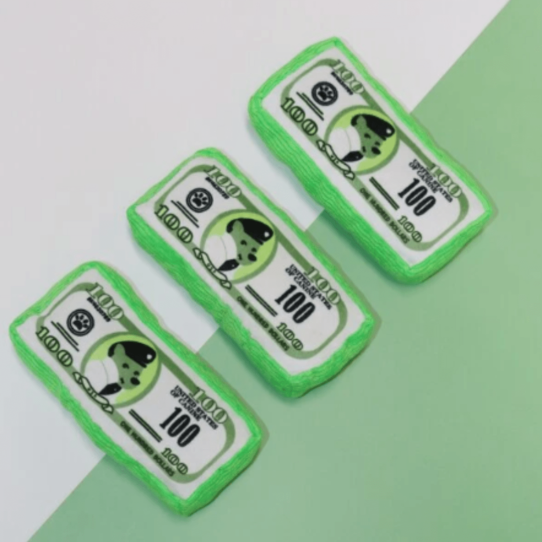 Soins dentaires avec notre peluche pour chien en forme de liasse de billet