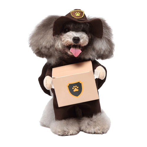 Déguisement pour chat et chien - Livreur de colis