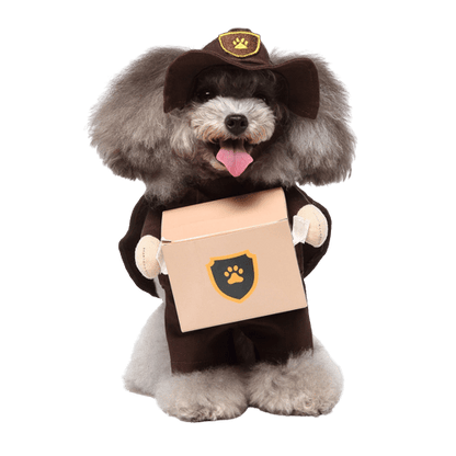 Déguisement pour chat et chien - Livreur de colis
