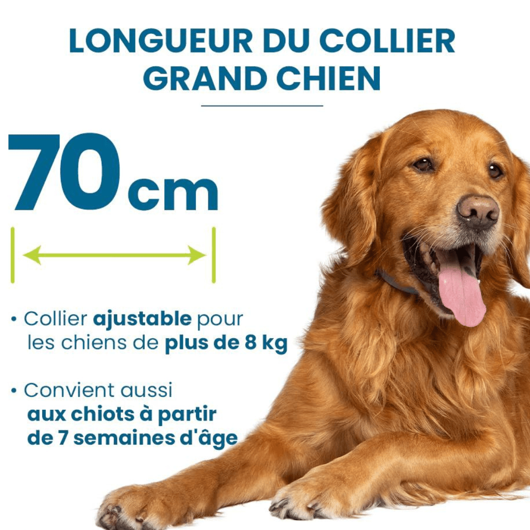 Guide des tailles pour grand chien de notre collier anti-puces et anti-tiques pour chien et chat