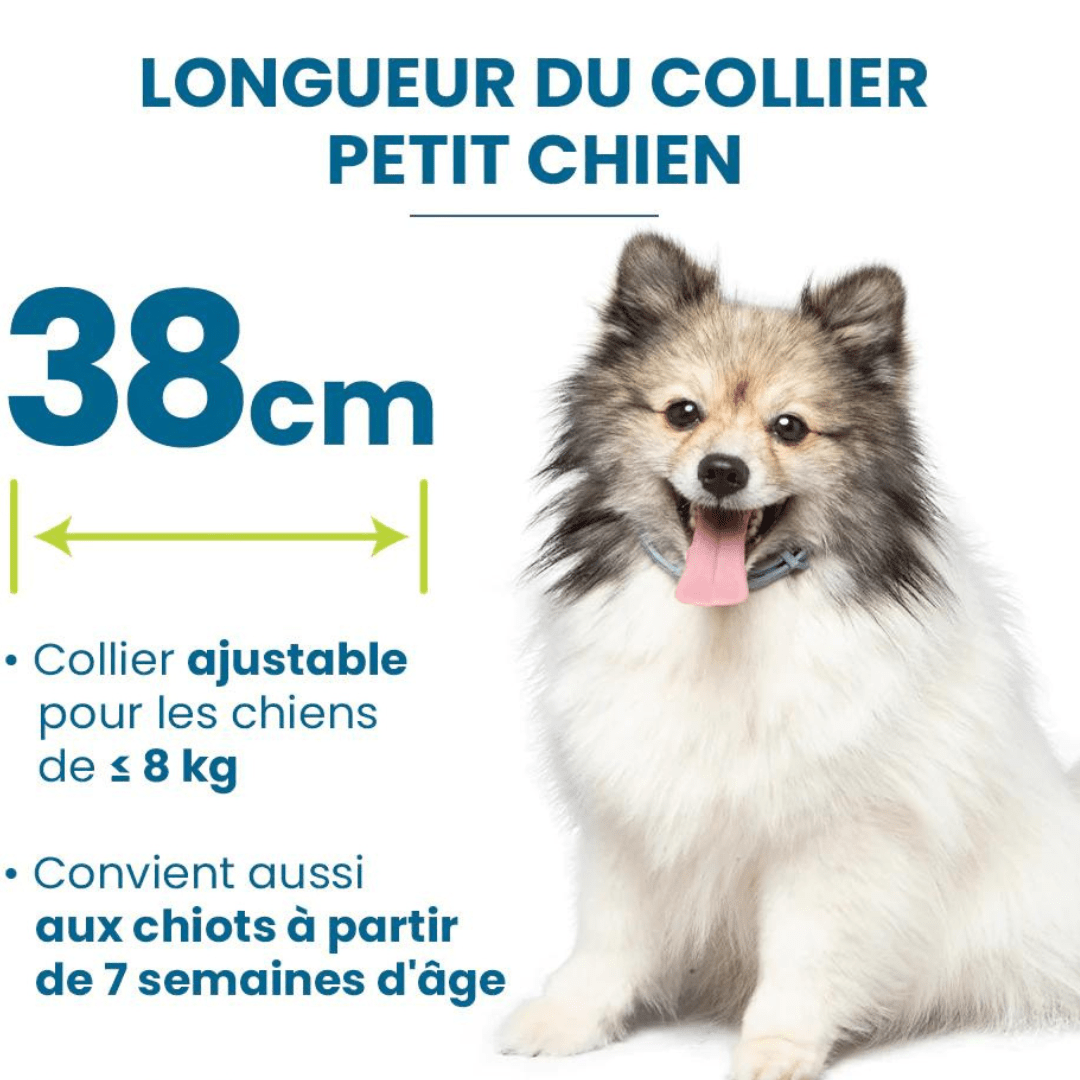 Guide des tailles pour chien de notre collier anti-puces et anti-tiques