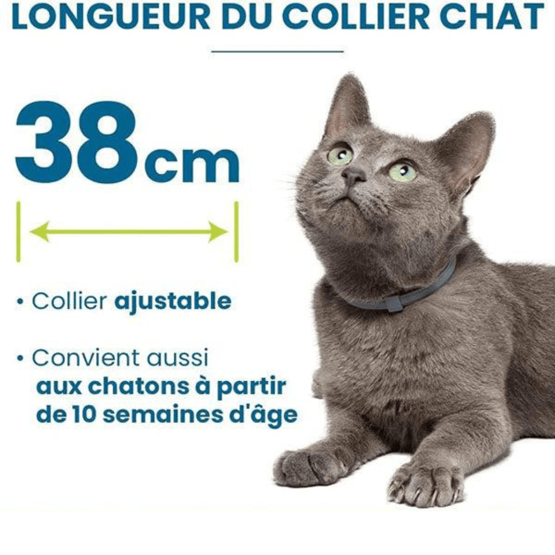 Guide des tailles pour chat de notre collier anti-puces et anti-tiques